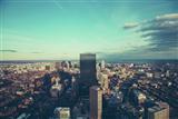 A019����