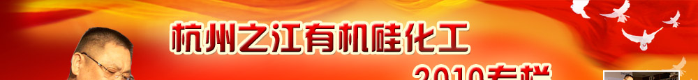 ����֮���ЙC�軯�����޹�˾2010����